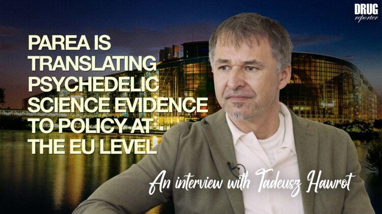 PAREA is Translating Psychedelic Science Evidence to Policy at the EU Level – An Interview with Tadeusz Hawrot