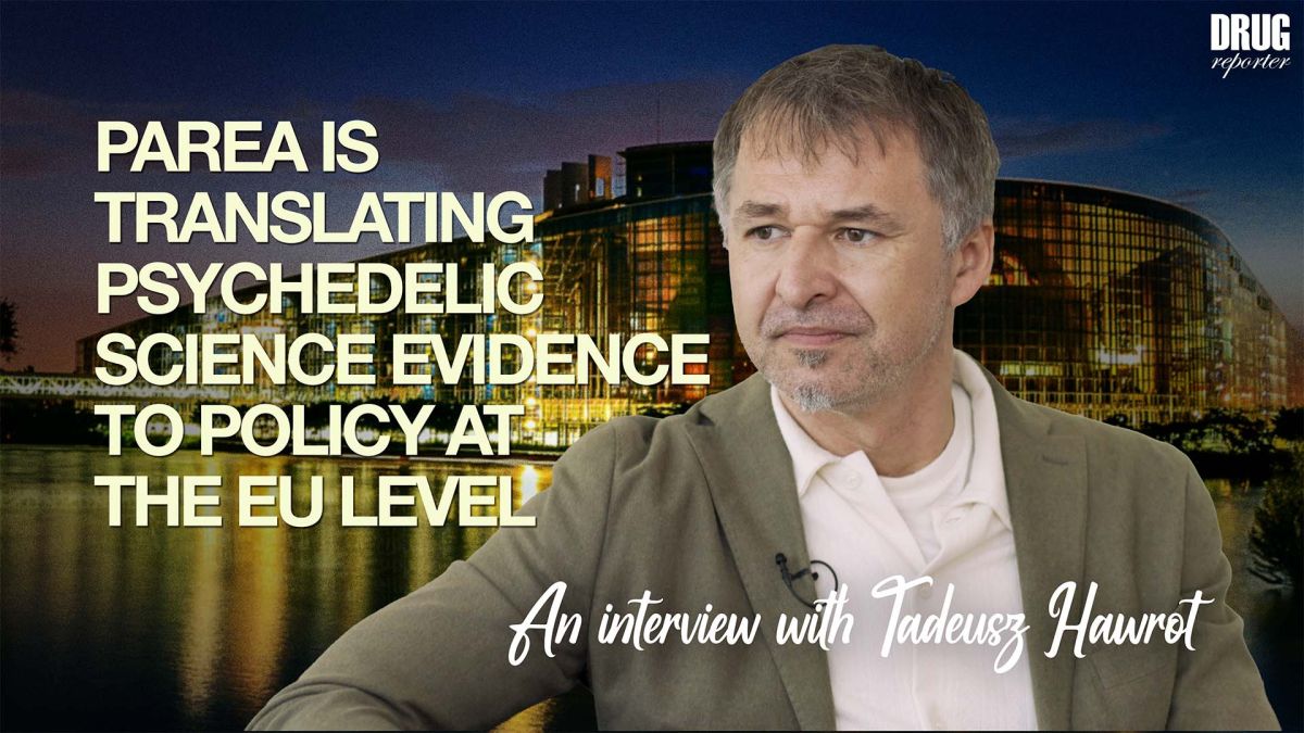 PAREA is Translating Psychedelic Science Evidence to Policy at the EU Level – An Interview with Tadeusz Hawrot