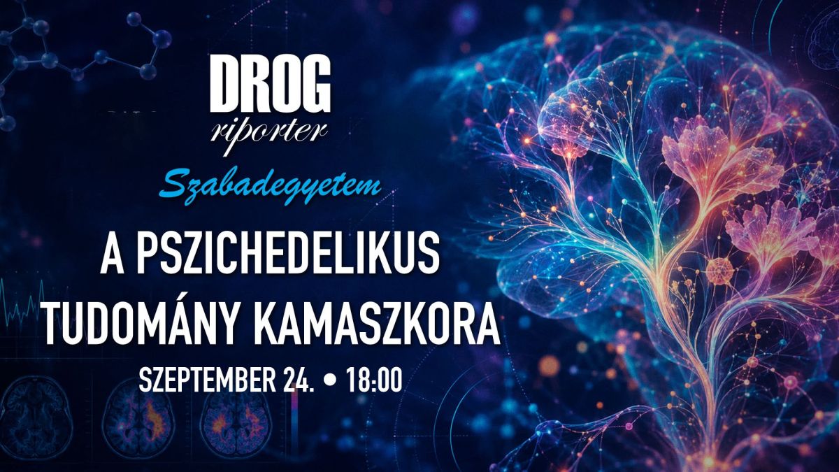 A pszichedelikus tudomány kamaszkora