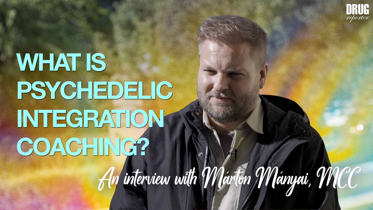 What is psychedelic integration coaching? - An interview with Márton Mányai